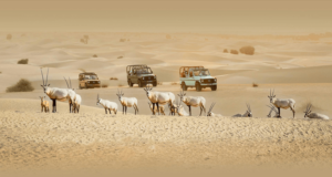 Al Marmoom Desert